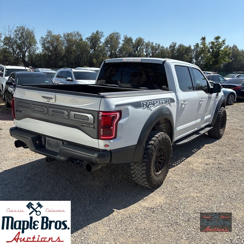 2019 Ford F-150 Raptor