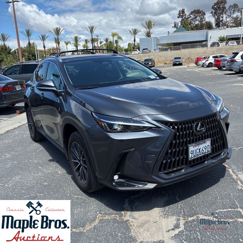 2025 Lexus NX 250 Base