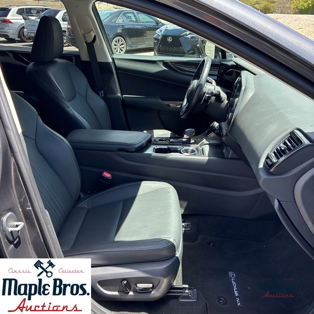 2025 Lexus NX 250 Base