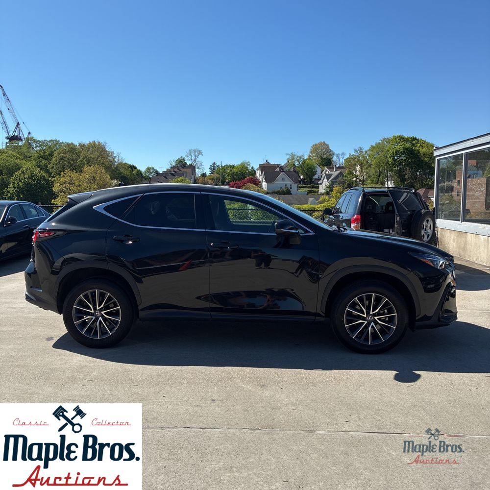2025 Lexus NX 250 Base