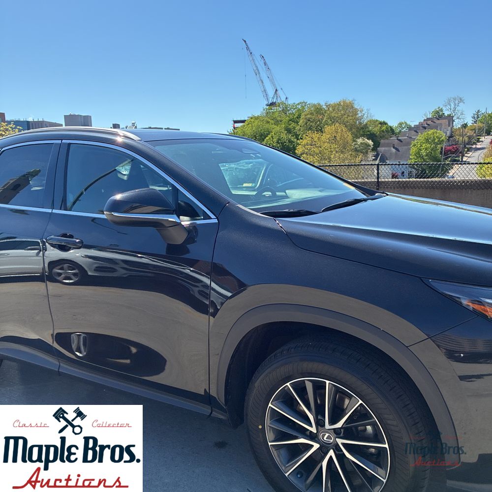 2025 Lexus NX 250 Base