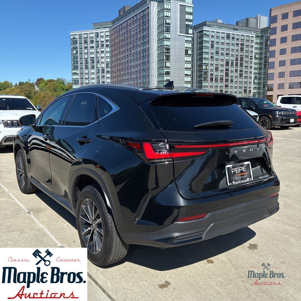 2025 Lexus NX 250 Base