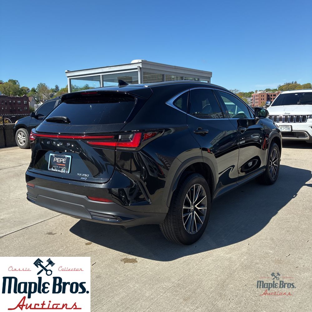 2025 Lexus NX 250 Base
