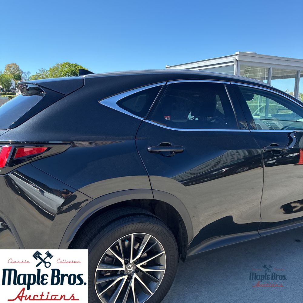 2025 Lexus NX 250 Base