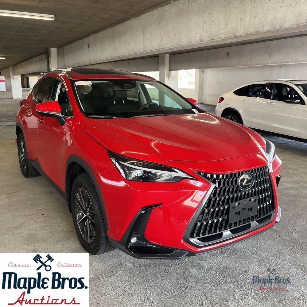2025 Lexus NX 250 Premium