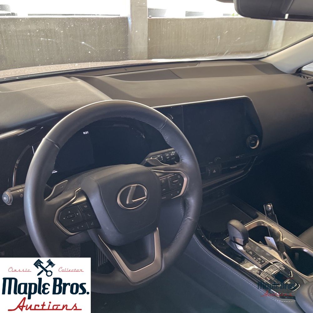2025 Lexus NX 250 Premium