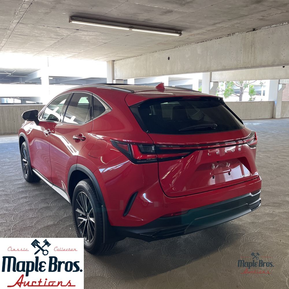 2025 Lexus NX 250 Premium
