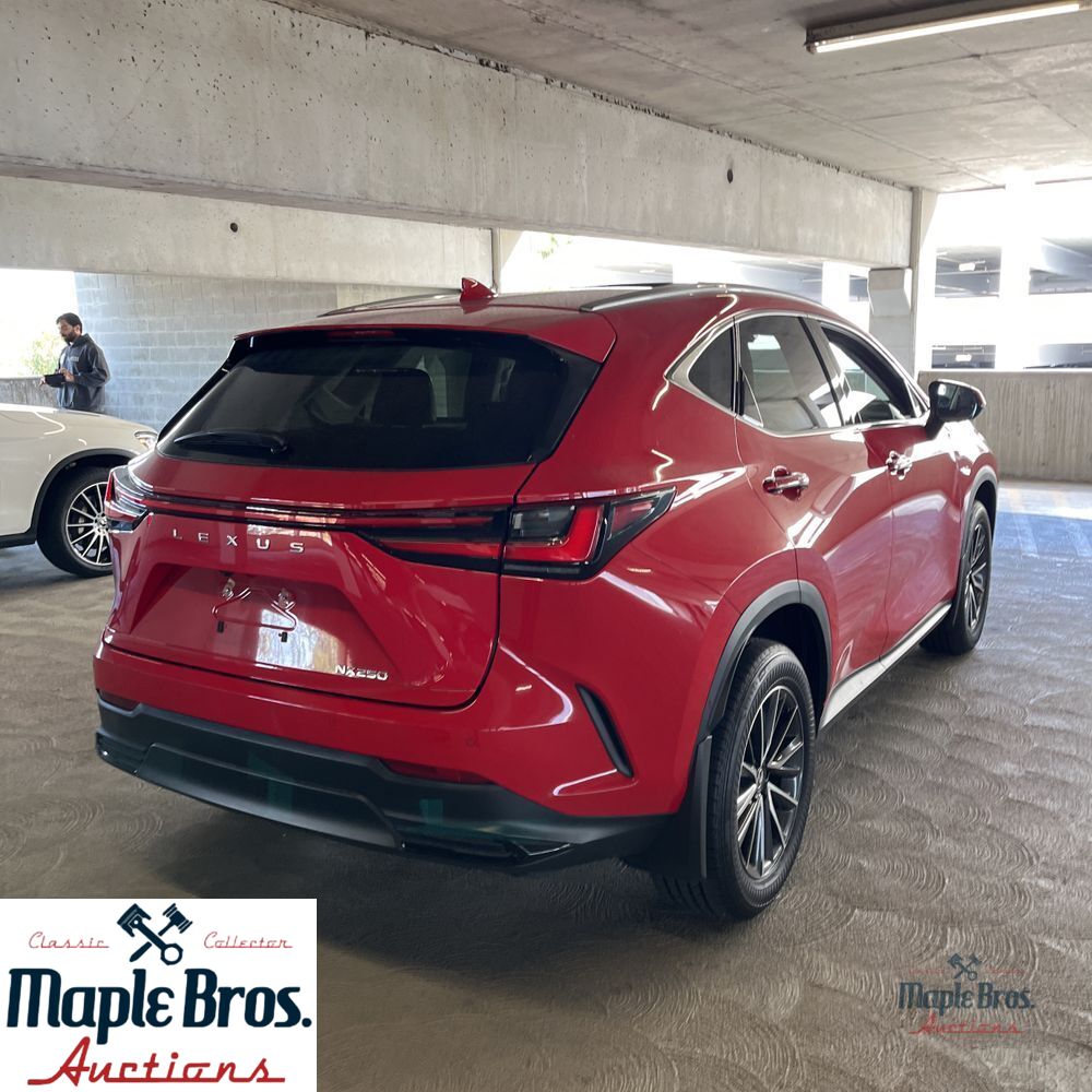 2025 Lexus NX 250 Premium