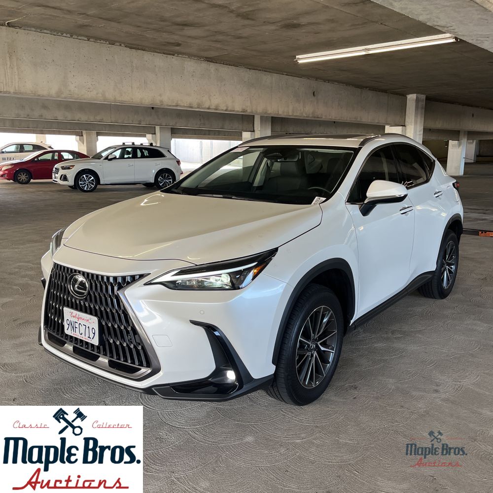 2025 Lexus NX 250 Base
