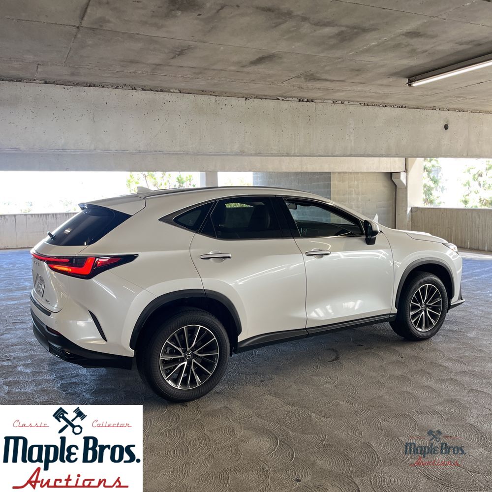 2025 Lexus NX 250 Base