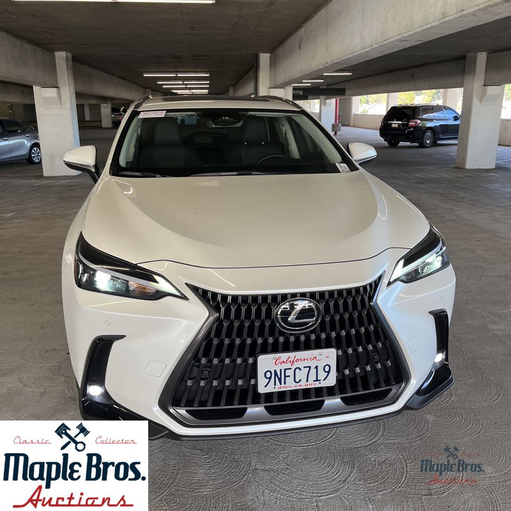 2025 Lexus NX 250 Base