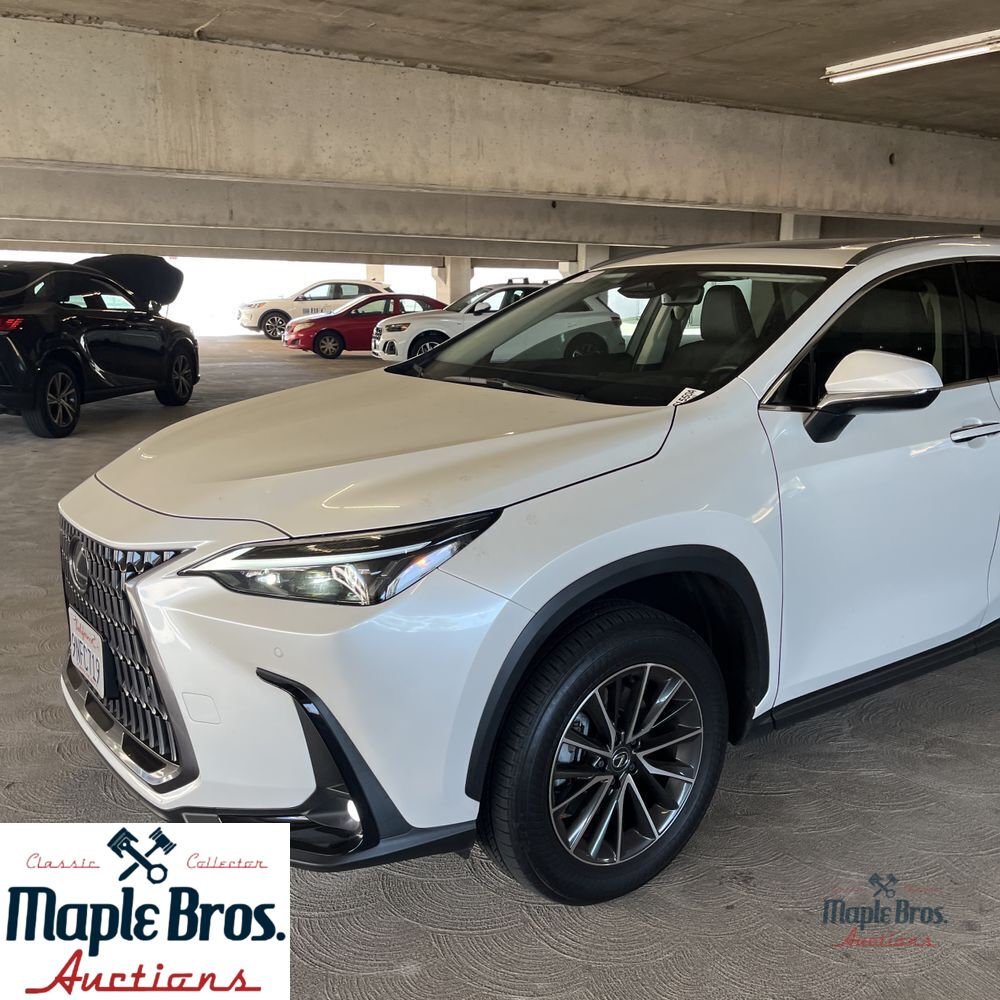 2025 Lexus NX 250 Base