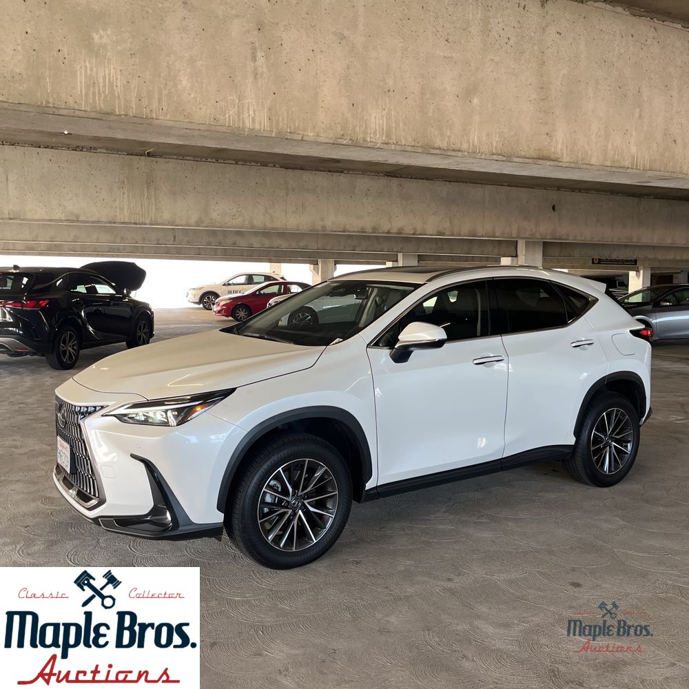 2025 Lexus NX 250 Base