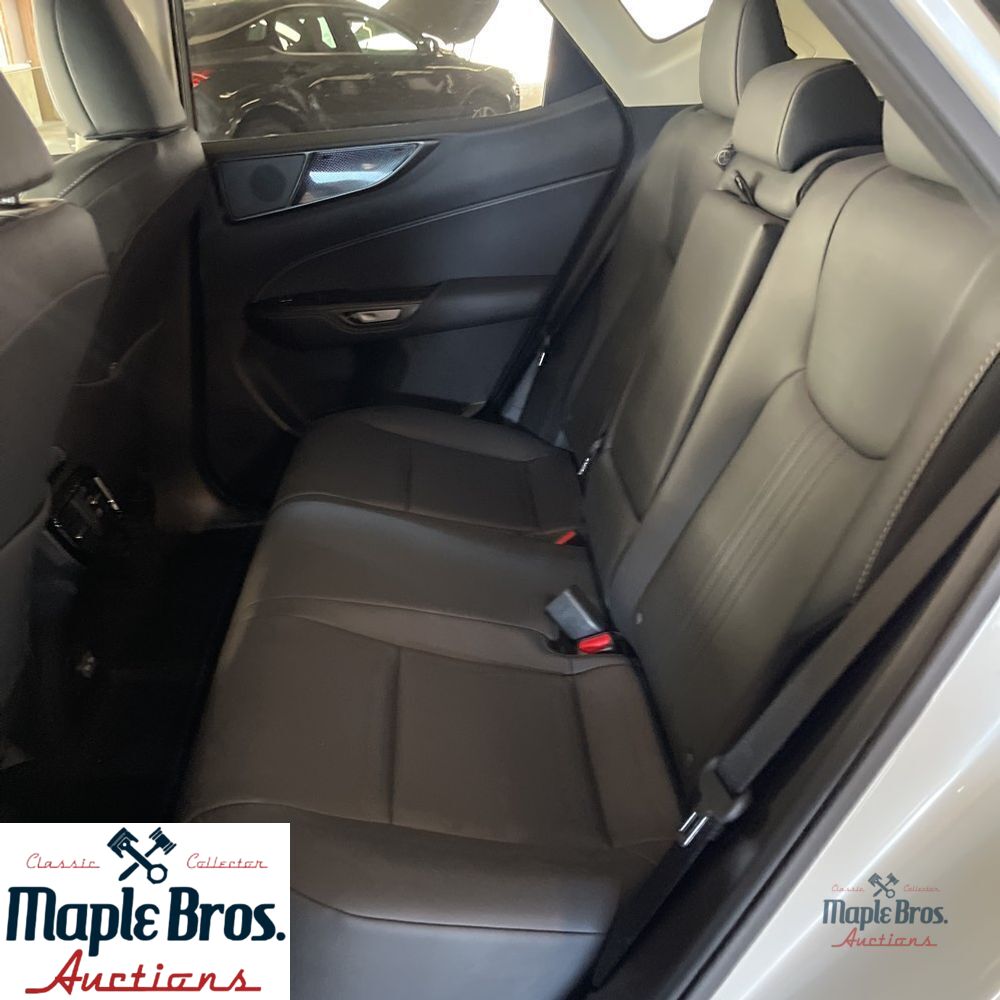 2025 Lexus NX 250 Base