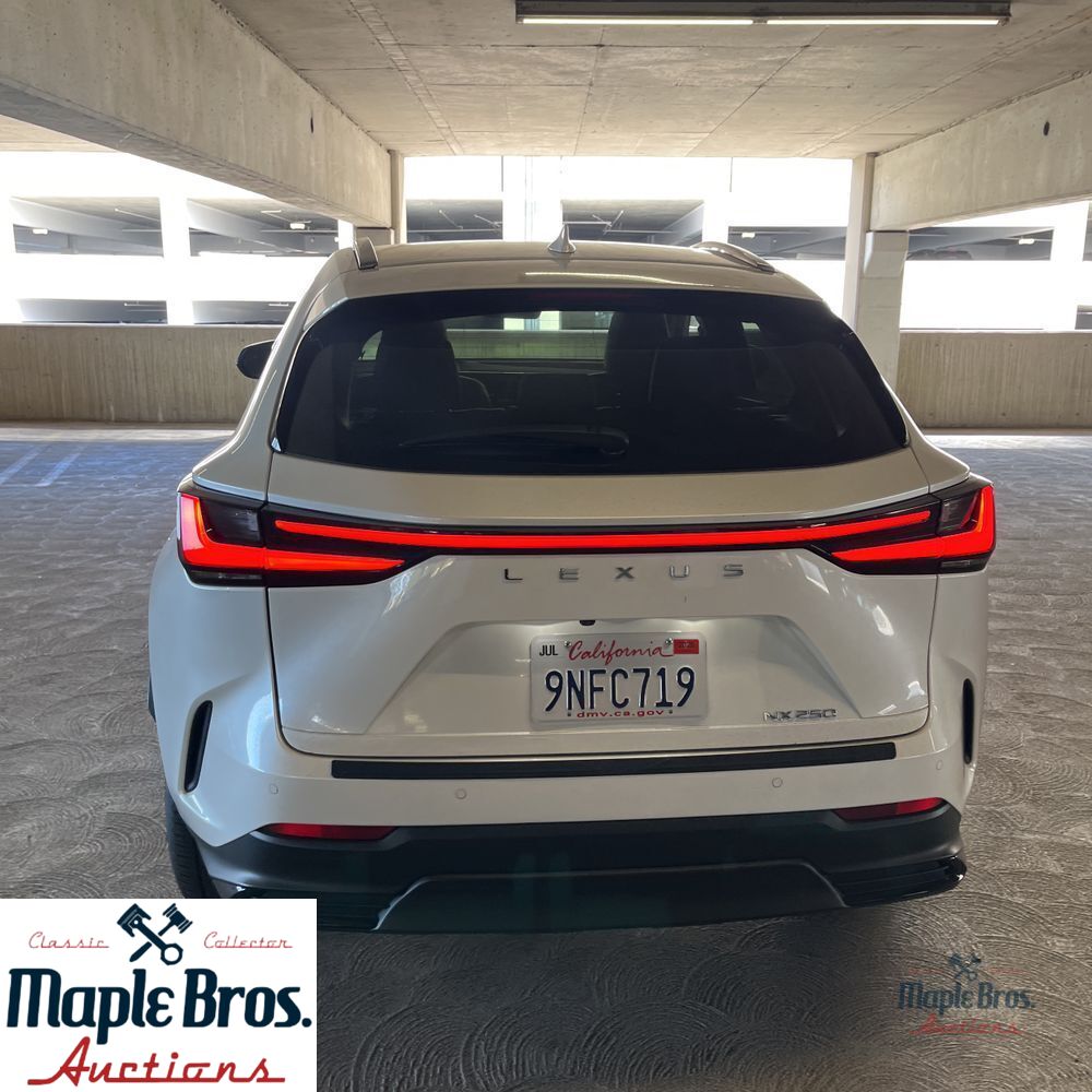 2025 Lexus NX 250 Base